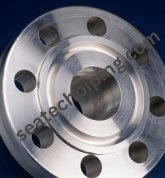 Titanium RTJ Flanges